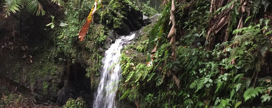 Juan Diego Falls