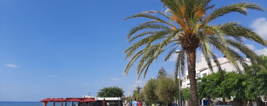 Beach "Tres Micos"