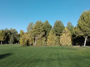 Pulgosa Park