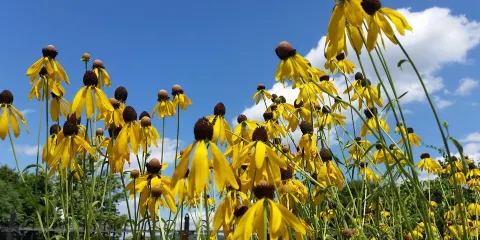 Beaver Area Heritage Museum