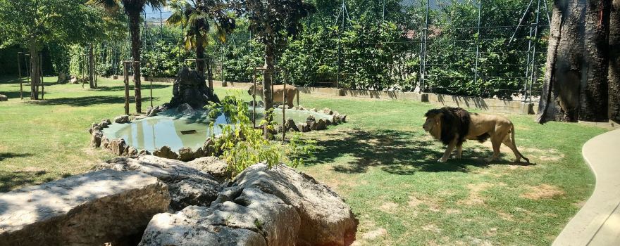 Zoo Delle Maitine
