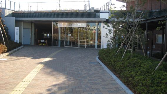 Mitaka