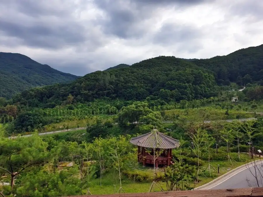 Hotels near National Center for Forest Therapy