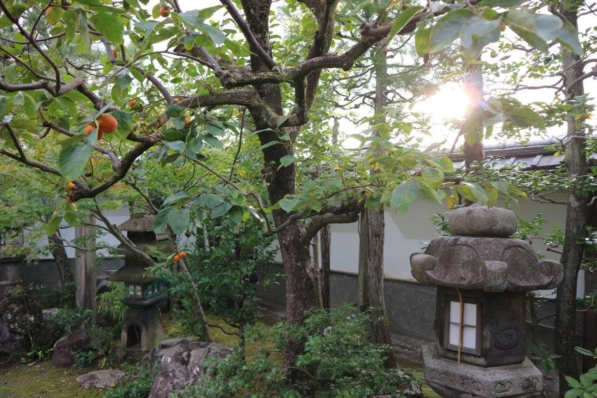 5_Ohashi Family’s Garden