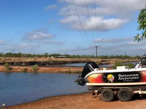 Barramundi Adventures Darwin