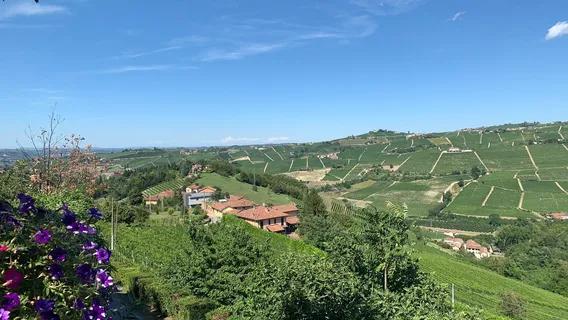 Abellonio - Cascina Piccaluga