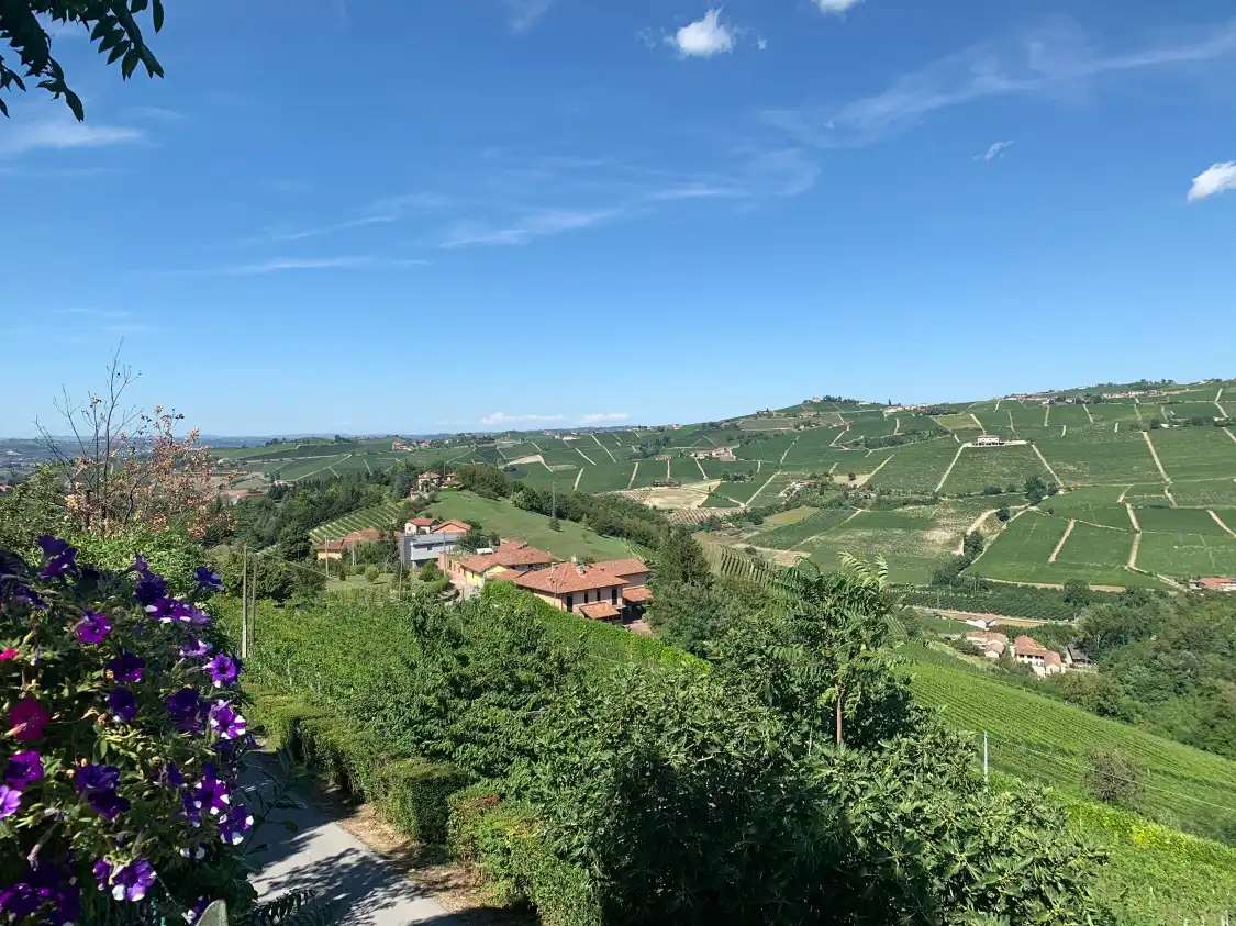 Abellonio - Cascina Piccaluga附近的飯店