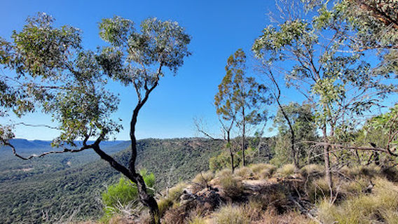 Arcadia Valley Lookout