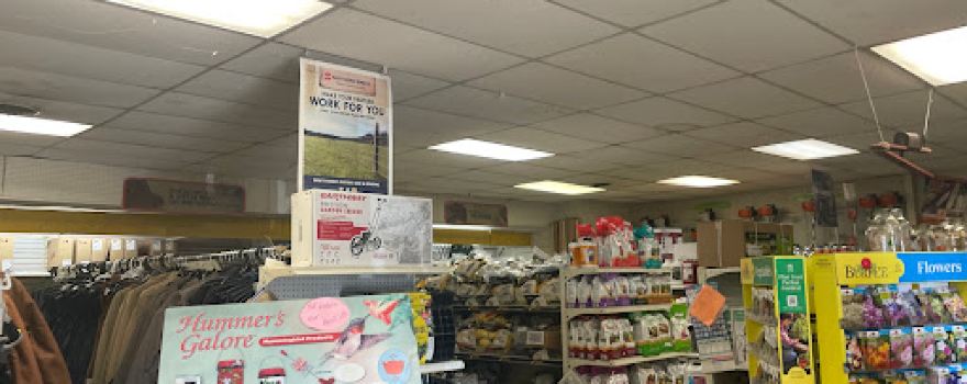Mt Jackson Farm Services