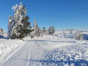 Skiliftkarussell Winterberg P3