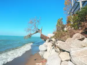 Port Albert Beach
