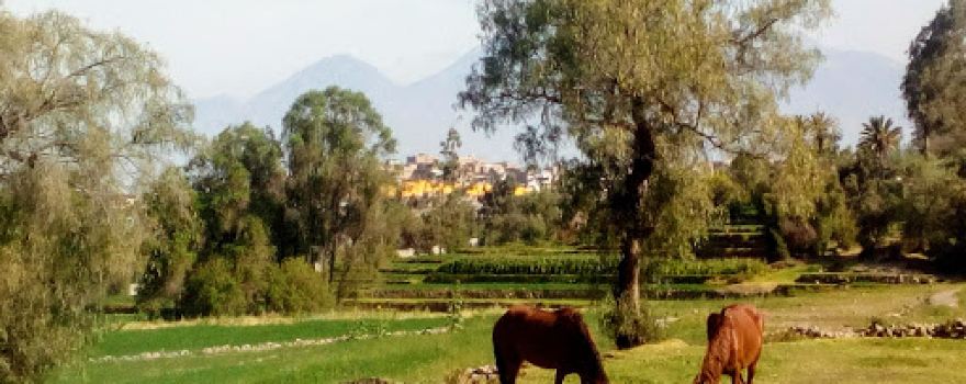 Valle de Chuca