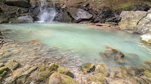 Holmes Chapel Falls