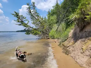 Big Bend Park