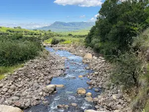 Afro Zulu Tours
