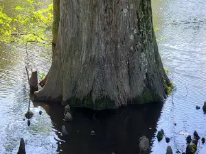 Lockwood Park