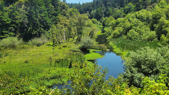 Otis R. Johnson Wilderness Park