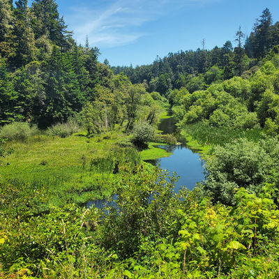 Otis R. Johnson Wilderness Park