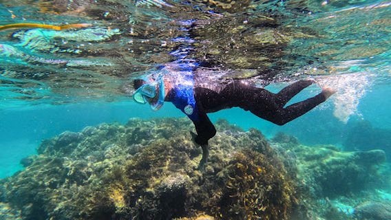 Đảo Rottnest