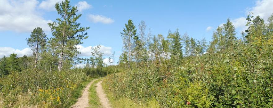 Camp Wilderness Boy Scout Camp