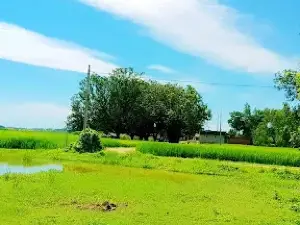 Maiku purwa Masjid