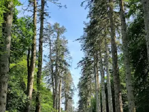 Woodstock Gardens & Arboretum