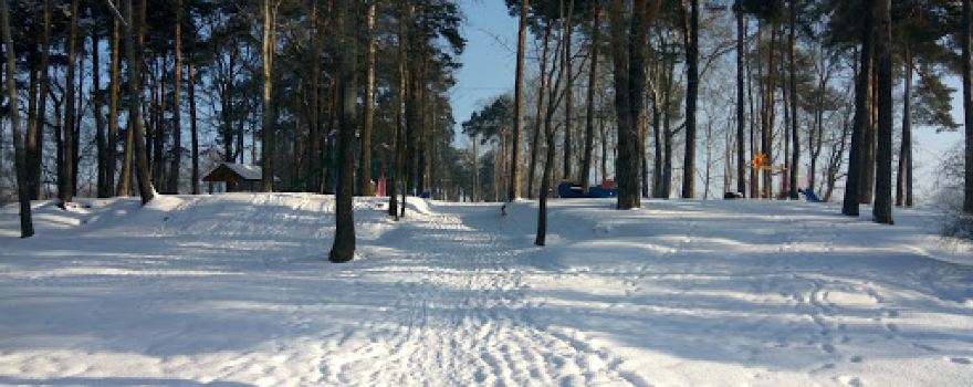 Gorodskoy Park