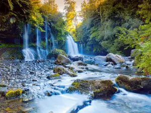 Saltos del Pichi Ignao