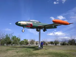 Ejército Mexicano Urban Forest (Sector II)
