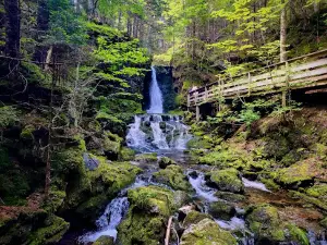 Fundy National Park Salt Water Pool