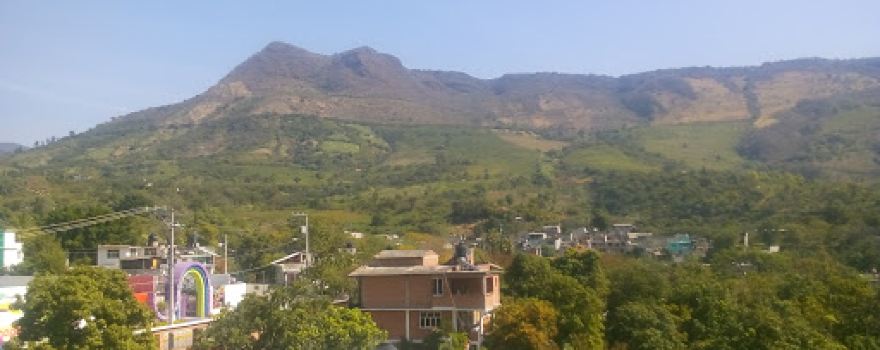 Parque Municipal