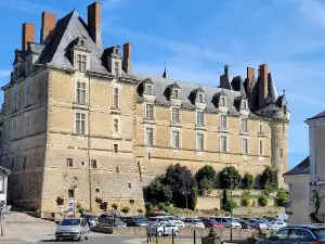 Camping Les Portes de l'Anjou