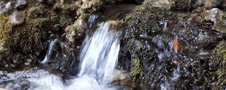 Çınaraltı Piknik Alanı