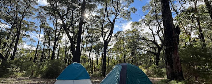 Strachans Campground