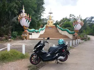 Wat Pa Si Phothiyan