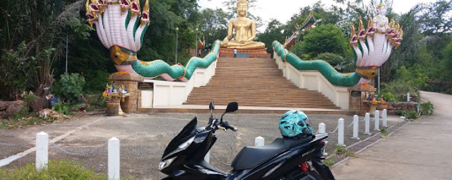 Wat Pa Si Phothiyan