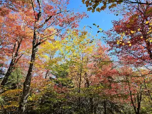 Schoodic Beach-Mountain Trailhead