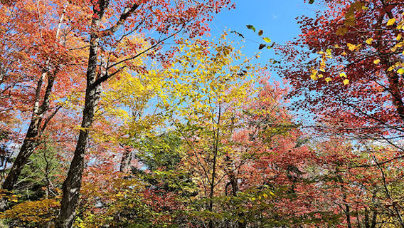 Schoodic Beach-Mountain Trailhead