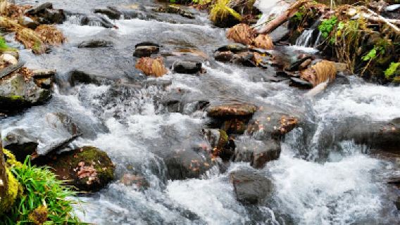 Serra do Courel