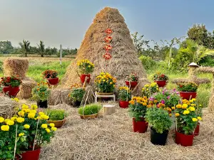 Tra Homestay - Chip Chop Farm