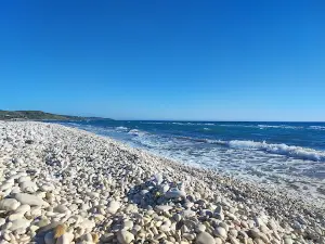 Bertolino
