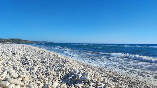 Bertolino