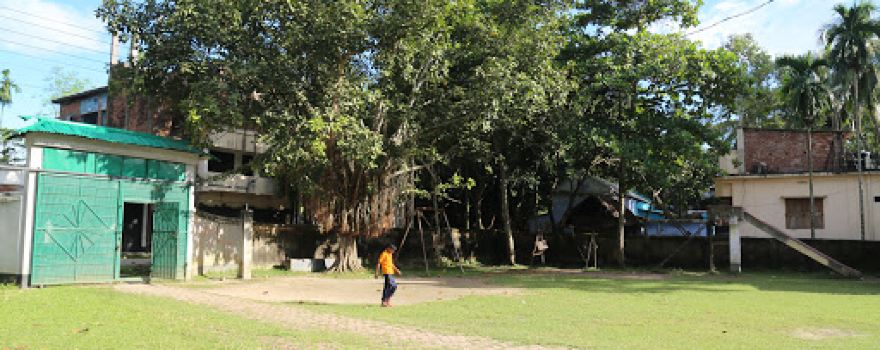 Pouro Sunflower Preparatory School Ground