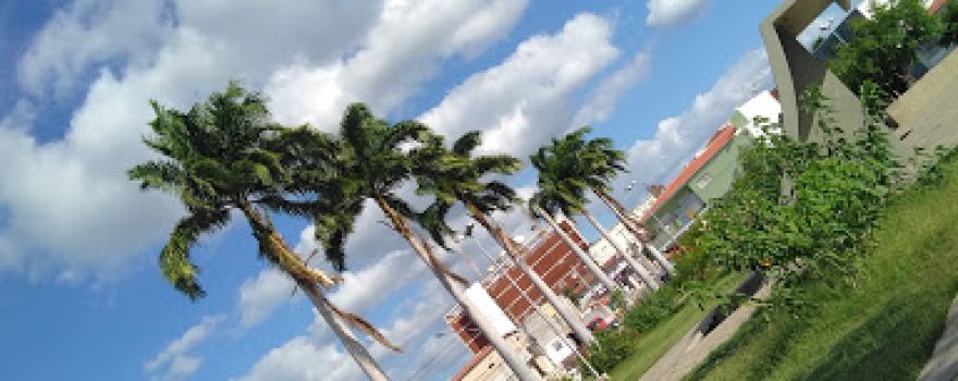 Tetê Salustino Square