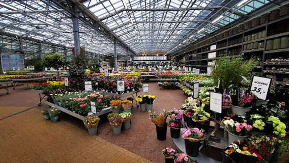 Plantorama Aalborg