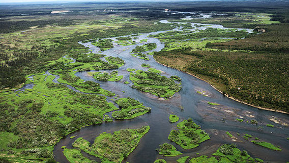 Alagnak Wild River