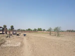 Cricket Stadium
