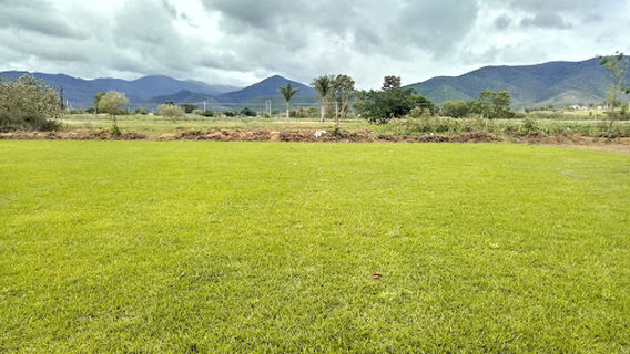 Pasto en Rollo El Tule