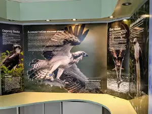 Lyndon Visitor Centre & Nature Reserve