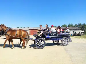 Muzeynaya Konyushnya. Muzey Sholokhova